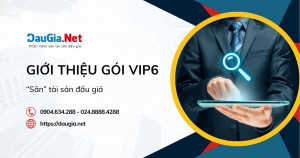 Giới thiệu gói VIP6 - “Săn” tài sản đấu giá