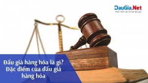 Đấu giá hàng hóa là gì? Đặc điểm của đấu giá hàng hóa