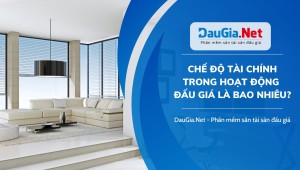 Chế độ tài chính trong hoạt động đấu giá là bao nhiêu?