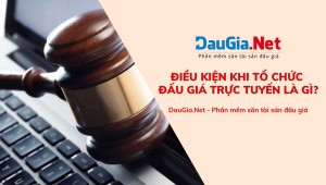 Điều kiện khi tổ chức đấu giá trực tuyến là gì?