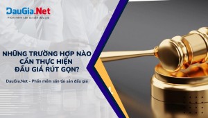 Những trường hợp nào cần thực hiện đấu giá rút gọn?