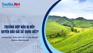 Trường hợp bị hủy quyền đấu giá sử dụng đất được quy định như thế nào