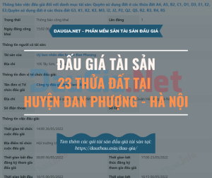 Hà Nội đấu giá 23 thửa đất trên địa bàn xã Song Phượng, huyện Đan Phượng