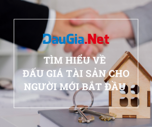 Tìm hiểu về đấu giá tài sản cho người mới bắt đầu