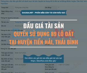 Thái Bình đấu giá 89 lô đất tại xã Đông Minh, huyện Tiền Hải