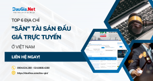 TOP 6 địa chỉ chuyên săn tài sản đấu giá trực tuyến ở Việt Nam