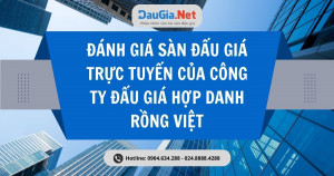 Đánh giá sàn đấu giá trực tuyến của Công ty đấu giá hợp danh Rồng Việt