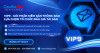 Ra mắt gói VIP9 - Phần mềm săn thông báo lựa chọn tổ chức đấu giá tài sản đầu tiên tại Việt Nam