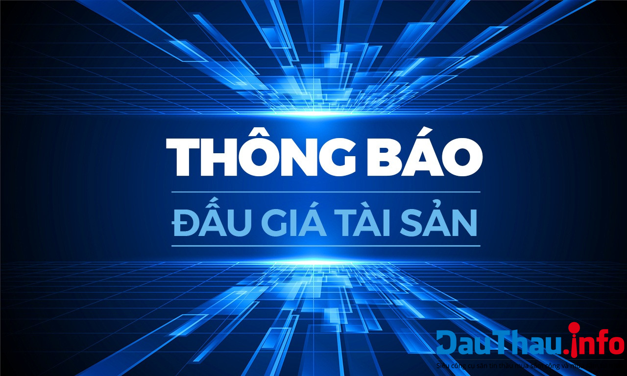 đấu giá tài sản 1