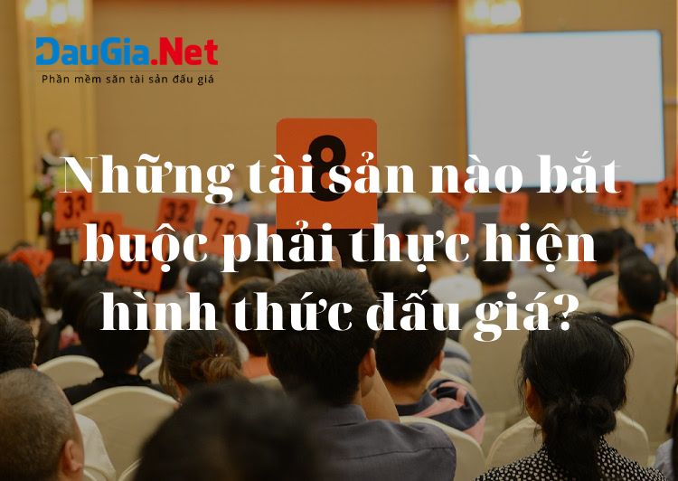 Những tài sản nào bắt buộc phải thực hiện hình thức đấu giá?