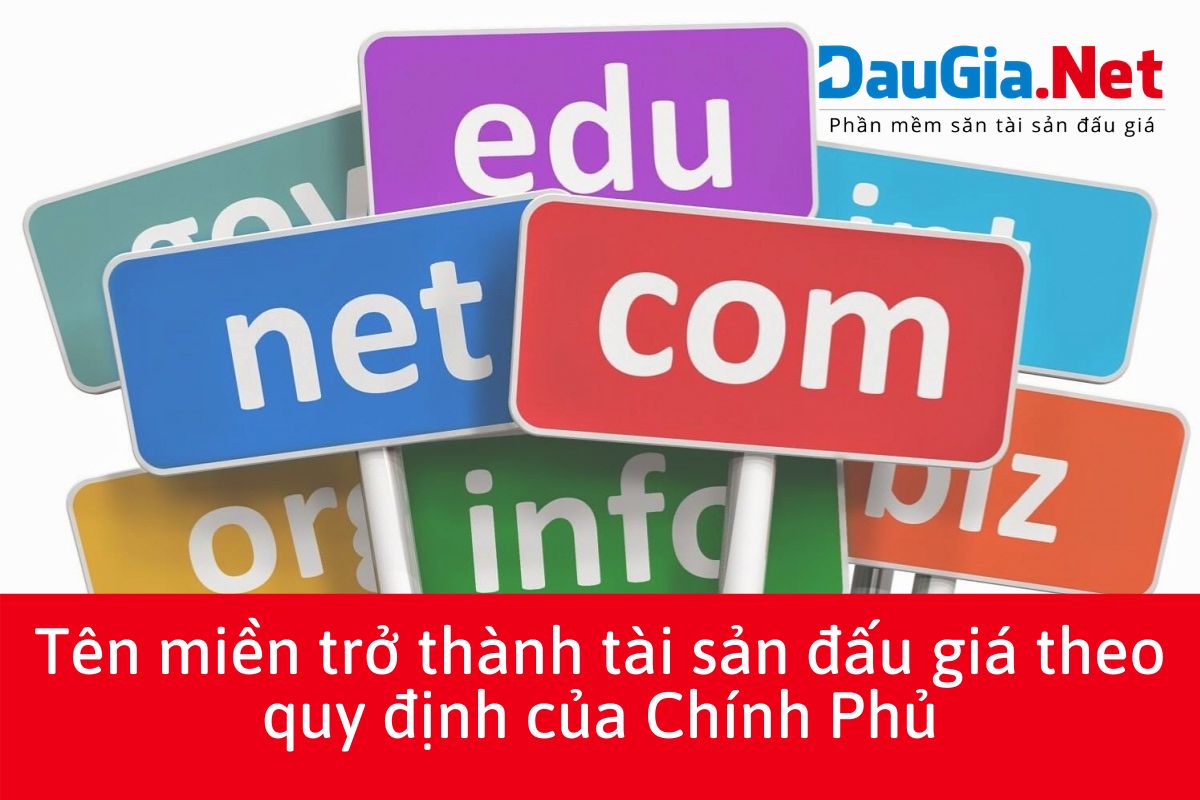 Tên miền trở thành tài sản đấu giá theo quy định của Chính Phủ