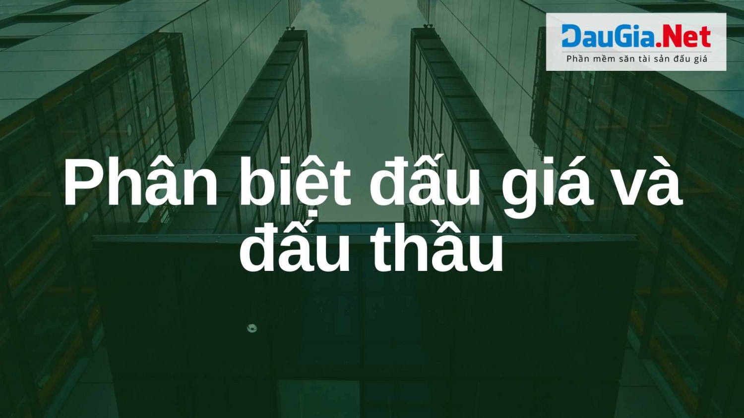 Phân biệt giữa đấu thầu và đấu giá